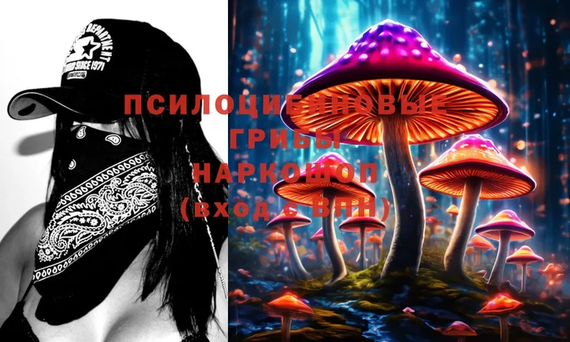 Псилоцибиновые грибы MAGIC MUSHROOMS  Ессентуки 